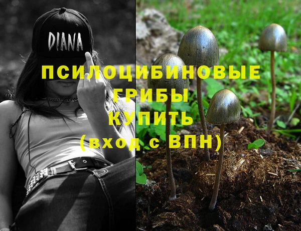 гашик Алексеевка