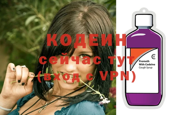 ешки Алзамай